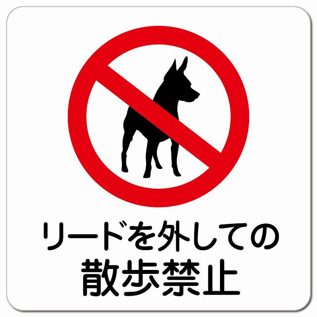 リードを外しての散歩禁止 ピクトサイン マグネット 正方形 13x13cm マグネットサイン 禁止表示 ピクトグラム