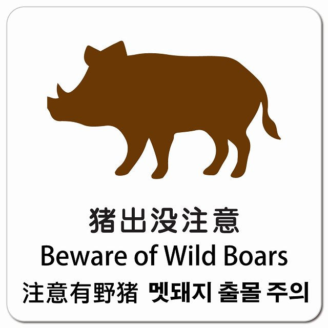 猪出没注意 インバウンド 多言語 英語 中国語 韓国語 対応 ピクトサイン マグネット 正方形 13x13cm マグネットサイン 外国人対応 ピクトグラム