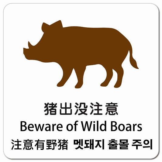 猪出没注意 インバウンド 多言語 英語 中国語 韓国語 対応 ピクトサイン マグネット 正方形 13x13cm マグネットサイン 外国人対応 ピクトグラム