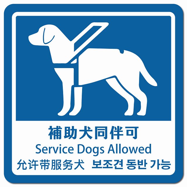 補助犬同伴可 ブルー インバウンド 多言語 英語 中国語 韓国語 対応 ピクトサイン マグネット 正方形 13x13cm マグネットサイン 外国人対応 ピクトグラム