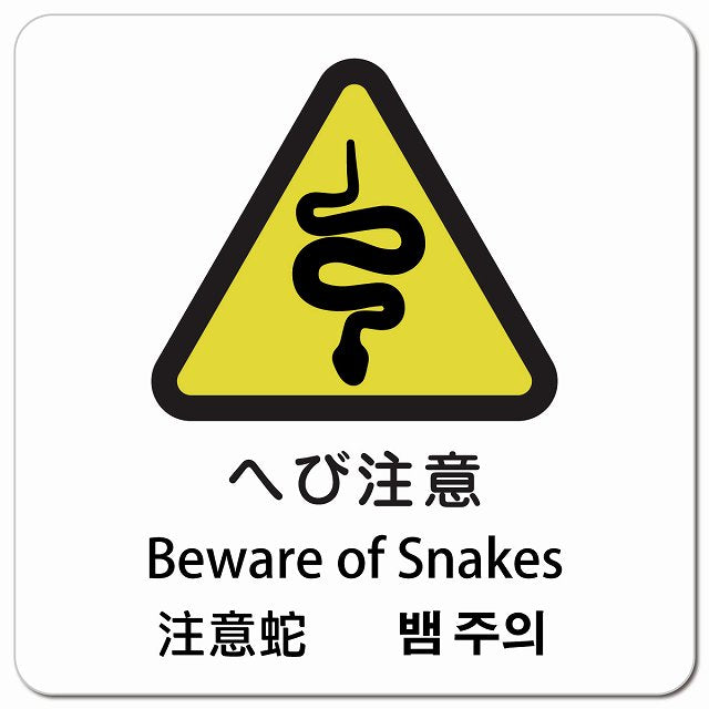 へび注意 インバウンド 多言語 英語 中国語 韓国語 対応 ピクトサイン マグネット 正方形 13x13cm マグネットサイン 外国人対応 ピクトグラム