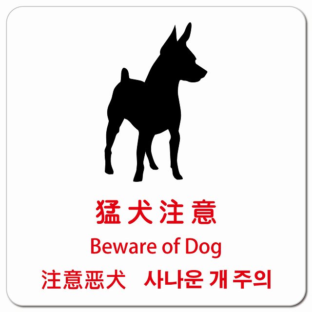 猛犬注意 インバウンド 多言語 英語 中国語 韓国語 対応 ピクトサイン マグネット 正方形 13x13cm マグネットサイン 外国人対応 ピクトグラム