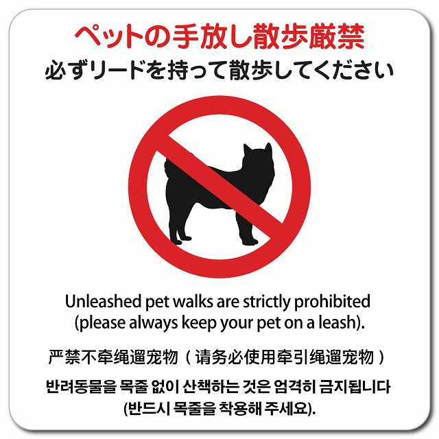 ペットの手放し散歩厳禁（必ずリードを持って散歩してください） 多言語 英語 中国語 韓国語 対応 ピクトサイン マグネット 正方形 13x13cm マグネットサイン 外国人対応 ピクトグラム