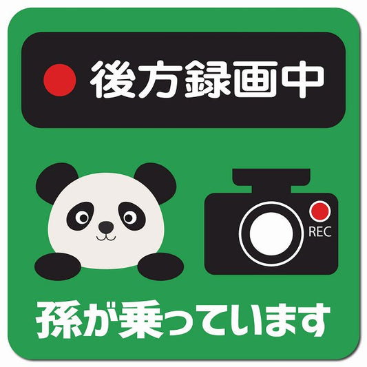孫が乗っています 後方録画中 ぱんだ グリーン 車用 マグネット 13x13cm 正方形