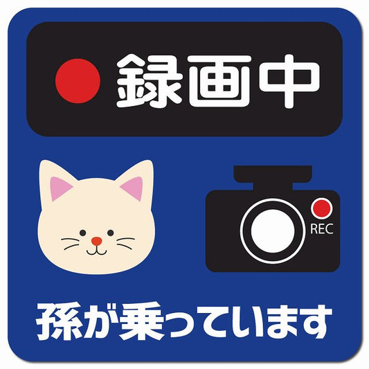 孫が乗っています 録画中 ねこ ネイビー 車用 マグネット 13x13cm 正方形