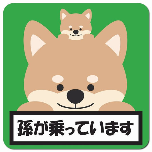 孫が乗っています 祖父母と孫 いぬ グリーン 車用 マグネット 13x13cm 正方形