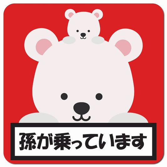 孫が乗っています 祖父母と孫 しろくま レッド 車用 マグネット 13x13cm 正方形