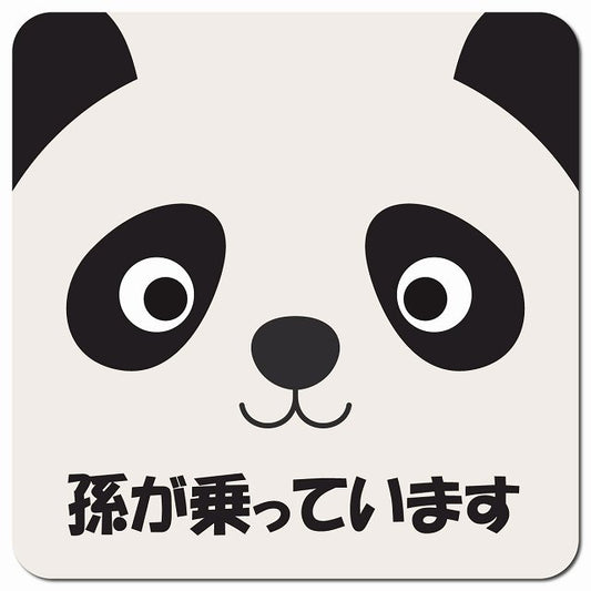 孫が乗っています おでこ ぱんだ 車用 マグネット 13x13cm 正方形