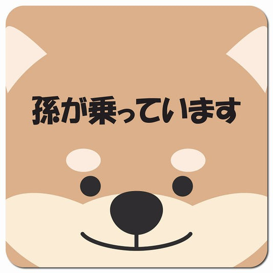 孫が乗っています おでこ いぬ 車用 マグネット 13x13cm 正方形