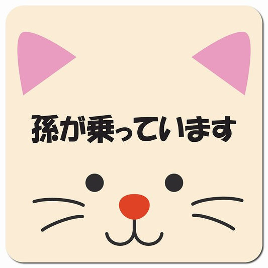 孫が乗っています おでこ ねこ 車用 マグネット 13x13cm 正方形