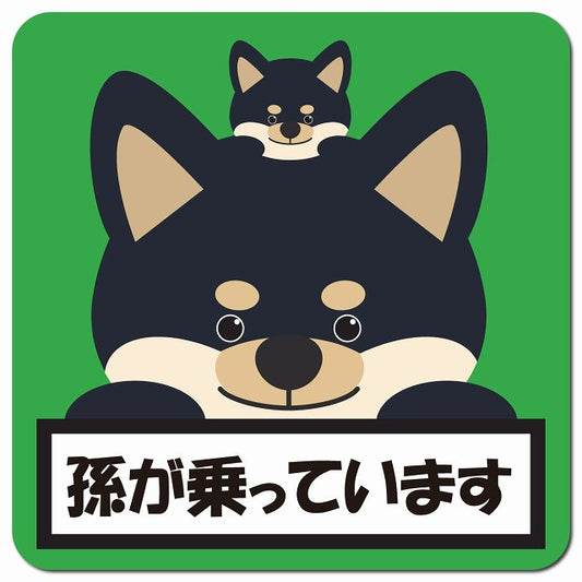 孫が乗っています 祖父母と孫 黒柴 グリーン 車用 マグネット 13x13cm 正方形