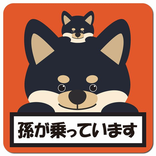 孫が乗っています 祖父母と孫 黒柴 オレンジ 車用 マグネット 13x13cm 正方形