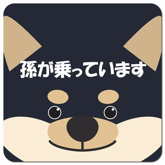 孫が乗っています おでこ 黒柴 車用 マグネット 13x13cm 正方形