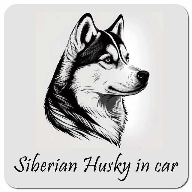 Dog in Car イラスト付 シベリアンハスキー Aタイプ 車用 マグネット 13x13cm 正方形 カーマグネット 表示プレート