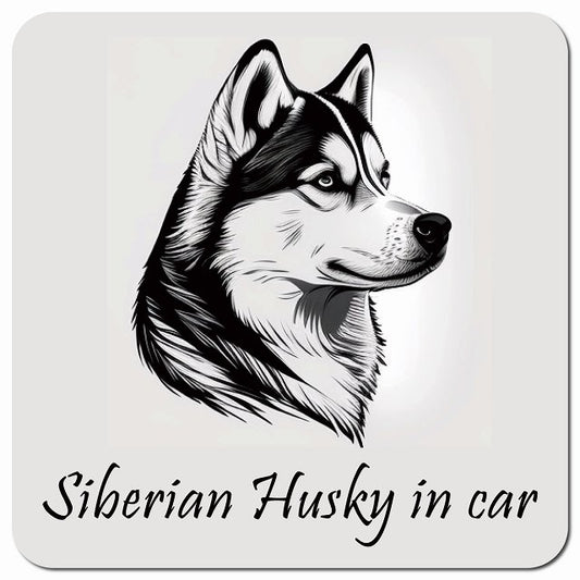 Dog in Car イラスト付 シベリアンハスキー Aタイプ 車用 マグネット 13x13cm 正方形 カーマグネット 表示プレート