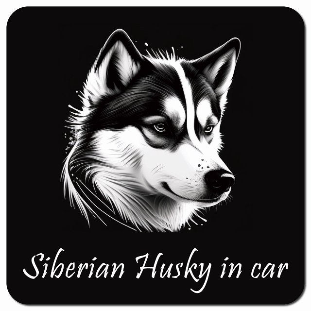 Dog in Car イラスト付 シベリアンハスキー Bタイプ 車用 マグネット 13x13cm 正方形 カーマグネット 表示プレート