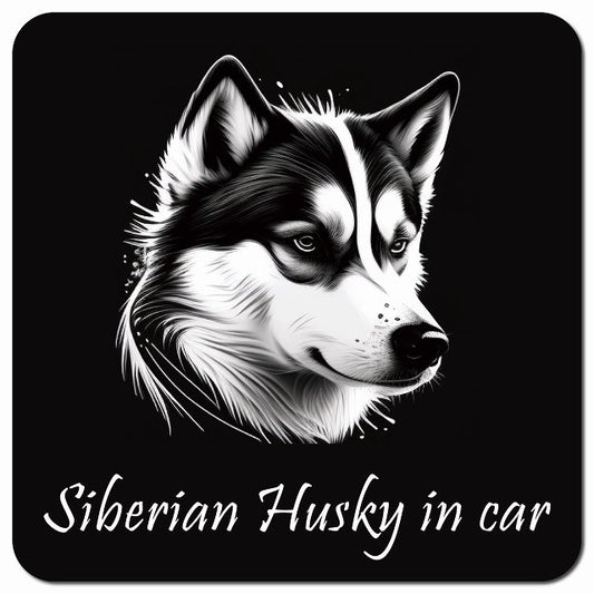 Dog in Car イラスト付 シベリアンハスキー Bタイプ 車用 マグネット 13x13cm 正方形 カーマグネット 表示プレート