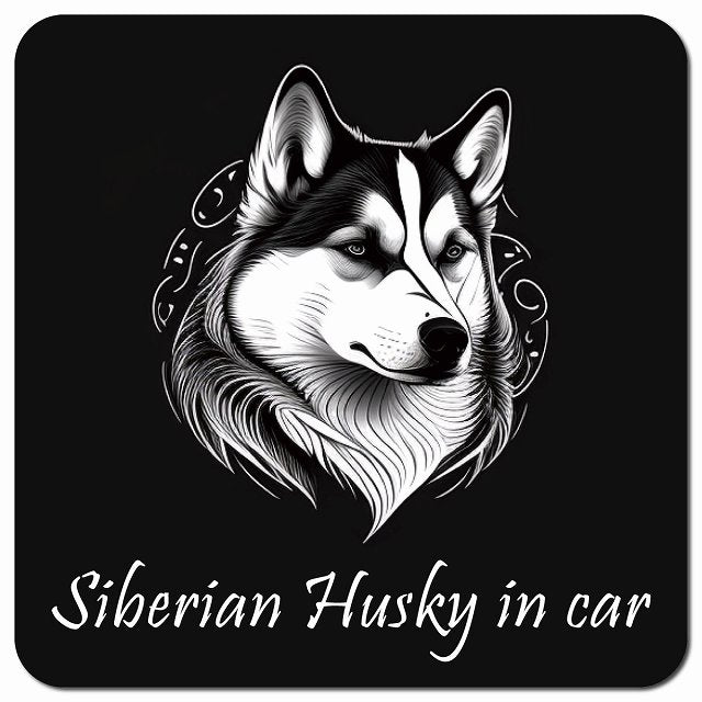 Dog in Car イラスト付 シベリアンハスキー Cタイプ 車用 マグネット 13x13cm 正方形 カーマグネット 表示プレート