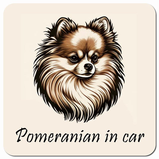 Dog in Car イラスト付 ポメラニアン Aタイプ 車用 マグネット 13x13cm 正方形 カーマグネット 表示プレート