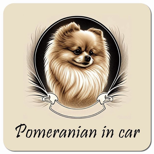 Dog in Car イラスト付 ポメラニアン Bタイプ 車用 マグネット 13x13cm 正方形 カーマグネット 表示プレート