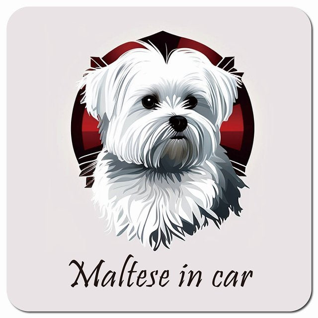 Dog in Car イラスト付 マルチーズ Bタイプ 車用 マグネット 13x13cm 正方形 カーマグネット 表示プレート