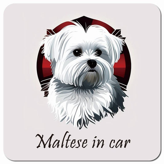Dog in Car イラスト付 マルチーズ Bタイプ 車用 マグネット 13x13cm 正方形 カーマグネット 表示プレート