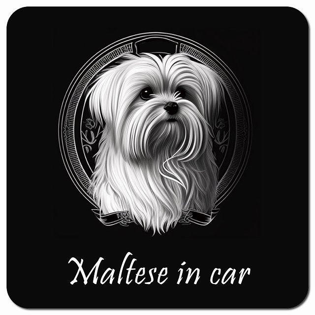 Dog in Car イラスト付 マルチーズ Aタイプ 車用 マグネット 13x13cm 正方形 カーマグネット 表示プレート