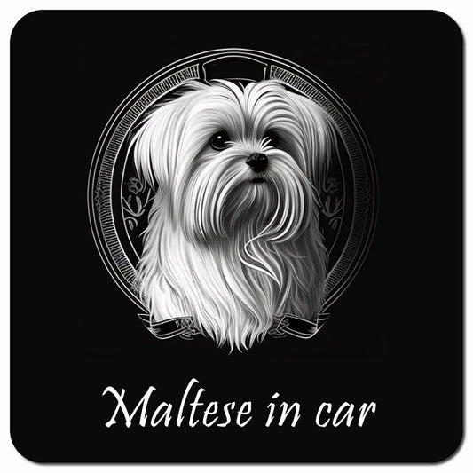 Dog in Car イラスト付 マルチーズ Aタイプ 車用 マグネット 13x13cm 正方形 カーマグネット 表示プレート