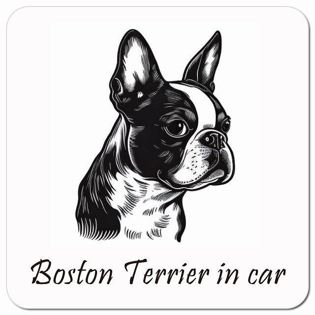 Dog in Car イラスト付 ボストンテリア Aタイプ 車用 マグネット 13x13cm 正方形 カーマグネット 表示プレート