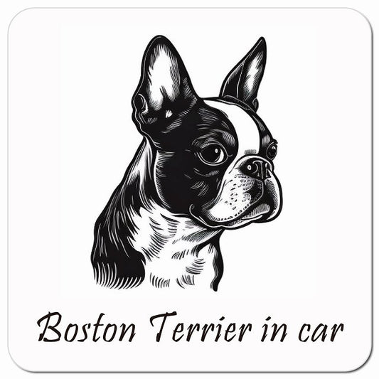 Dog in Car イラスト付 ボストンテリア Aタイプ 車用 マグネット 13x13cm 正方形 カーマグネット 表示プレート