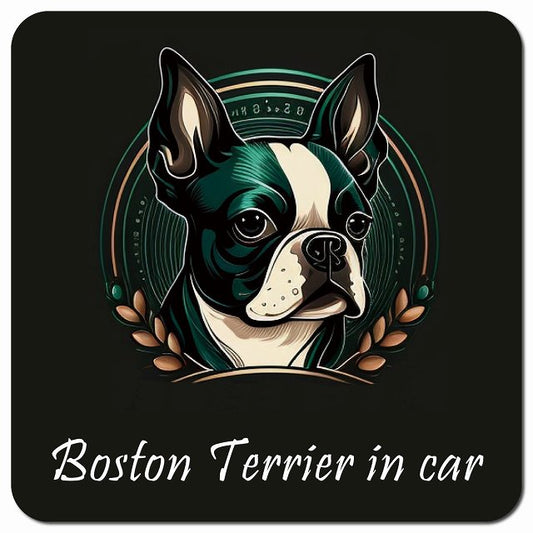 Dog in Car イラスト付 ボストンテリア Bタイプ 車用 マグネット 13x13cm 正方形 カーマグネット 表示プレート