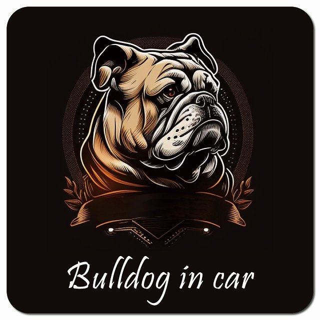 Dog in Car イラスト付 ブルドッグ Bタイプ 車用 マグネット 13x13cm 正方形 カーマグネット 表示プレート