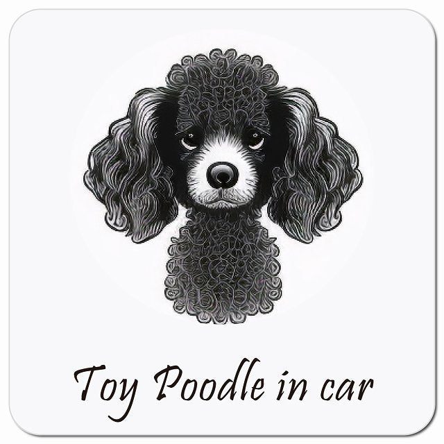 Dog in Car イラスト付 トイプードル Aタイプ 車用 マグネット 13x13cm 正方形 カーマグネット 表示プレート