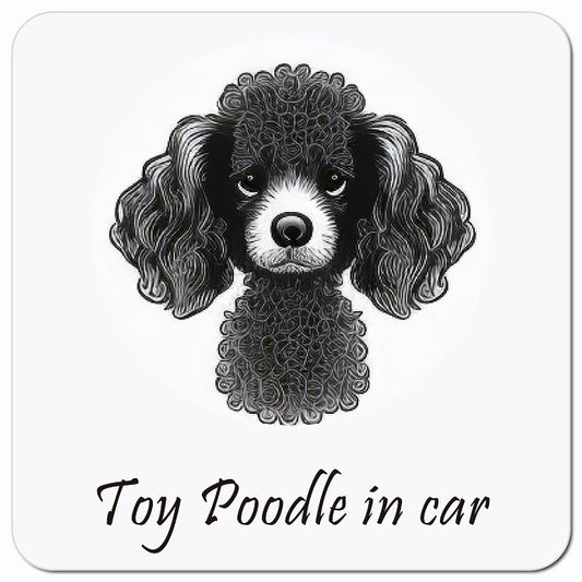 Dog in Car イラスト付 トイプードル Aタイプ 車用 マグネット 13x13cm 正方形 カーマグネット 表示プレート