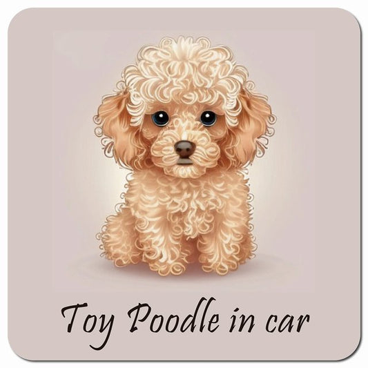 Dog in Car イラスト付 トイプードル Bタイプ 車用 マグネット 13x13cm 正方形 カーマグネット 表示プレート