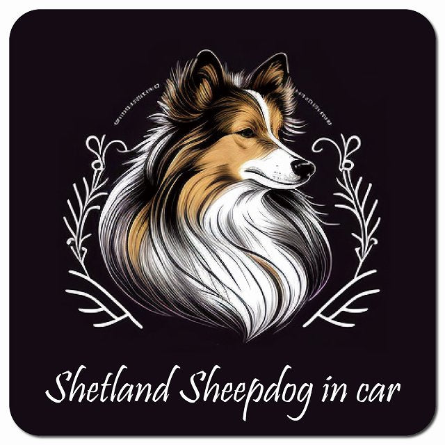Dog in Car イラスト付 シェットランドシープドッグ Aタイプ 車用 マグネット 13x13cm 正方形 カーマグネット 表示プレート