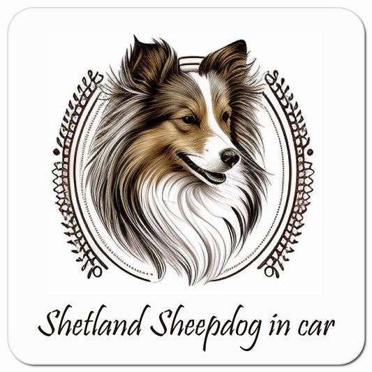Dog in Car イラスト付 シェットランドシープドッグ Bタイプ 車用 マグネット 13x13cm 正方形 カーマグネット 表示プレート