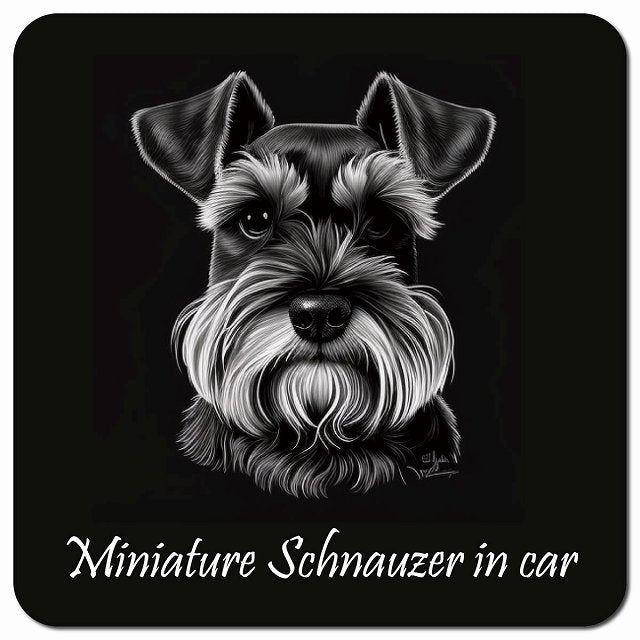 Dog in Car イラスト付 ミニチュアシュナウザー Aタイプ 車用 マグネット 13x13cm 正方形 カーマグネット 表示プレート