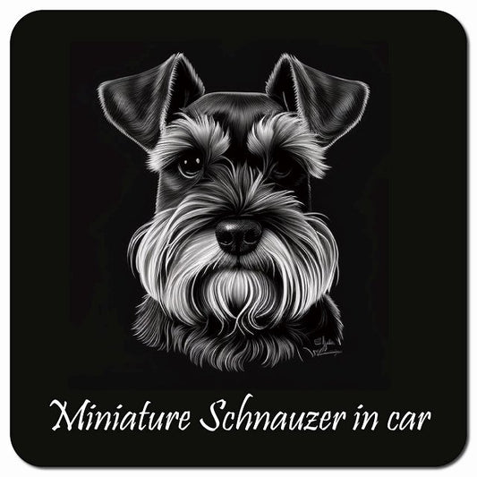 Dog in Car イラスト付 ミニチュアシュナウザー Aタイプ 車用 マグネット 13x13cm 正方形 カーマグネット 表示プレート