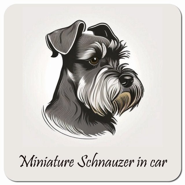 Dog in Car イラスト付 ミニチュアシュナウザー Bタイプ 車用 マグネット 13x13cm 正方形 カーマグネット 表示プレート