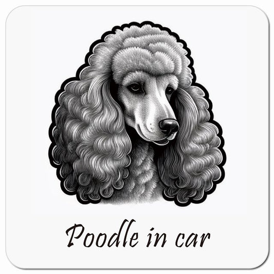 Dog in Car イラスト付 プードル Bタイプ 車用 マグネット 13x13cm 正方形 カーマグネット 表示プレート