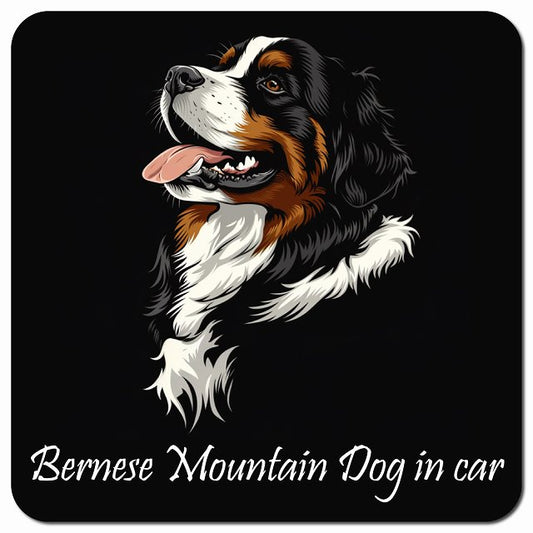 Dog in Car イラスト付 バーニーズ・マウンテン・ドッグ Aタイプ 車用 マグネット 13x13cm 正方形 カーマグネット 表示プレート