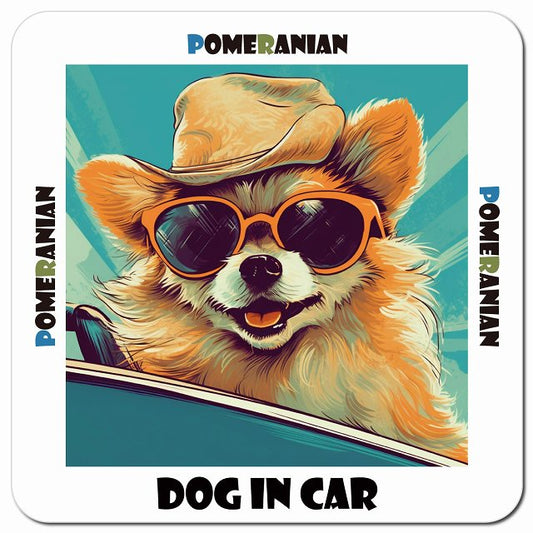 Dog in car 海 麦わら帽子 サングラス Pomeranian ポメラニアン車用 マグネット 13x13cm 正方形 カーマグネット 表示プレート