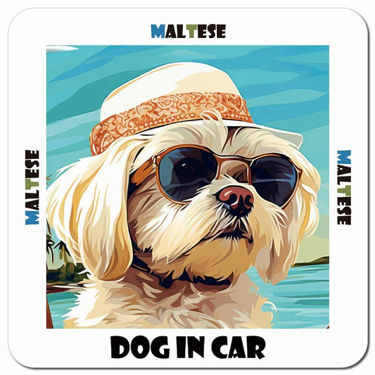 Dog in car 海 麦わら帽子 サングラス Maltese マルチーズ車用 マグネット 13x13cm 正方形 カーマグネット 表示プレート