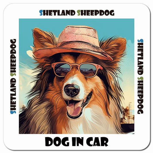 Dog in car 海 麦わら帽子 サングラス Shetland Sheepdog シェットランドシープドッグ車用 マグネット 13x13cm 正方形 カーマグネット 表示プレート