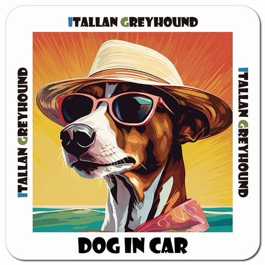 Dog in car 海 麦わら帽子 サングラス Itallan Greyhound イタリアングレーハウンド車用 マグネット 13x13cm 正方形 カーマグネット 表示プレート