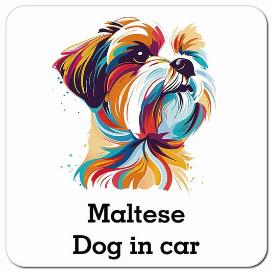 Dog in car Maltese マルチーズ Dタイプ ポップアート風 車用 マグネット 13x13cm 正方形 カーマグネット 表示プレート