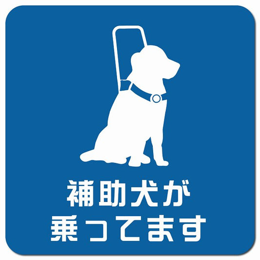 補助犬が乗ってます おすわり犬 Aタイプ ブルー車用 マグネット 13x13cm 正方形 カーマグネット 表示プレート