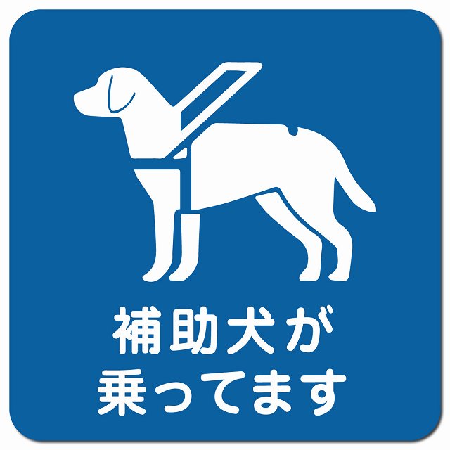 補助犬が乗ってます 歩き犬 Bタイプ ブルー車用 マグネット 13x13cm 正方形 カーマグネット 表示プレート