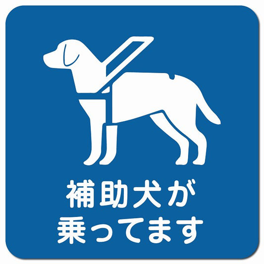補助犬が乗ってます 歩き犬 Bタイプ ブルー車用 マグネット 13x13cm 正方形 カーマグネット 表示プレート